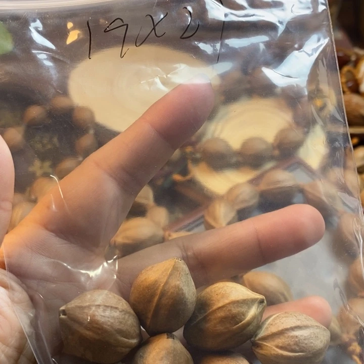 橄榄核手串/手链……1.9✖️27铁核……