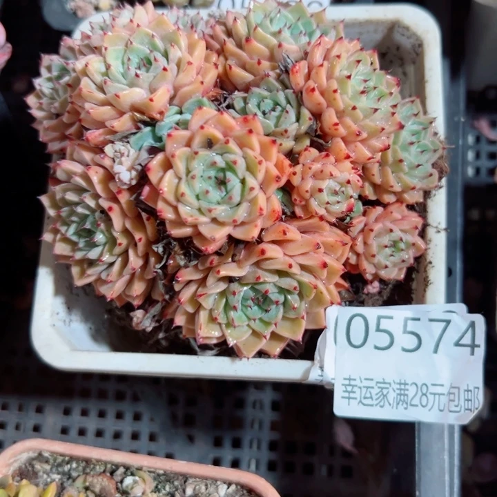 幸运的是我还没遇到过