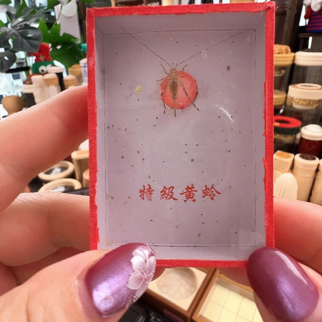 哈哈哈段须大黄两个