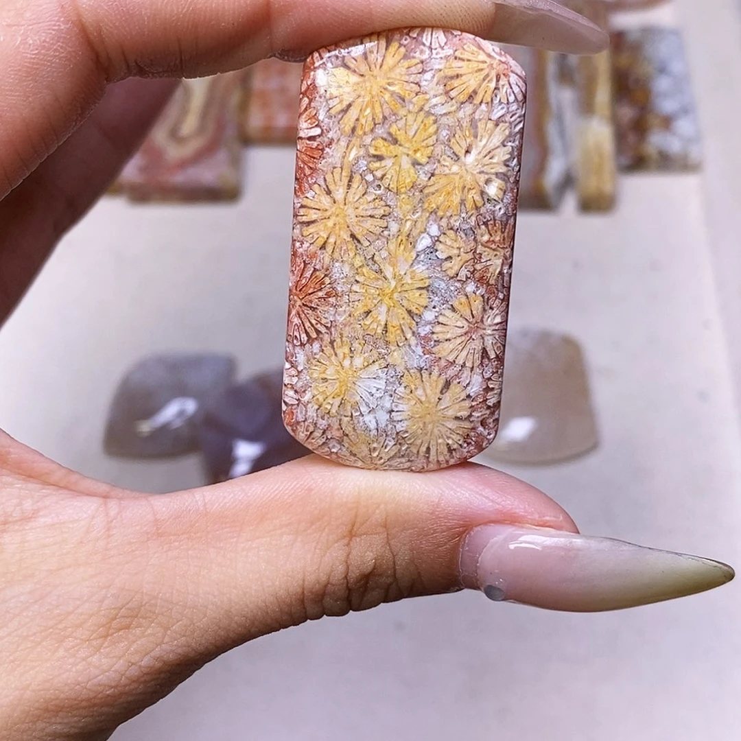 查罗石合金颈饰J****妮