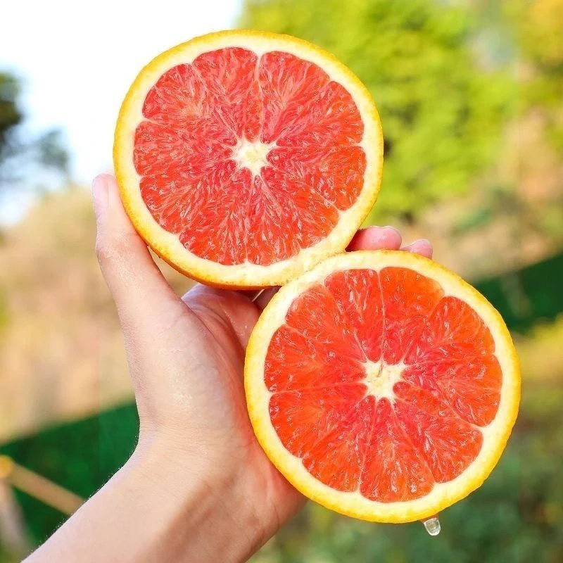 进口血橙2个不少于1.2斤