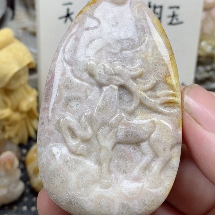 颈饰未镶嵌硅化珊瑚（珊瑚玉）