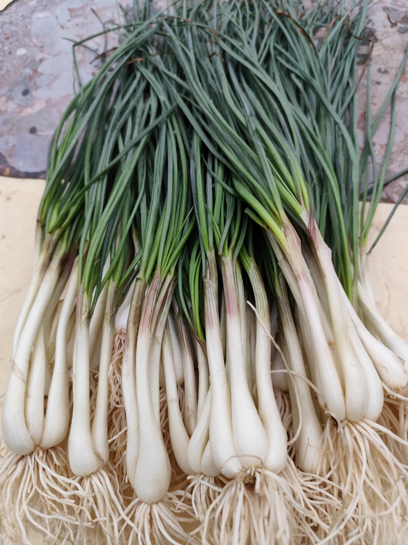 茭头  四川茭头  鹅芭茭  带泥发货 谢文芳家的