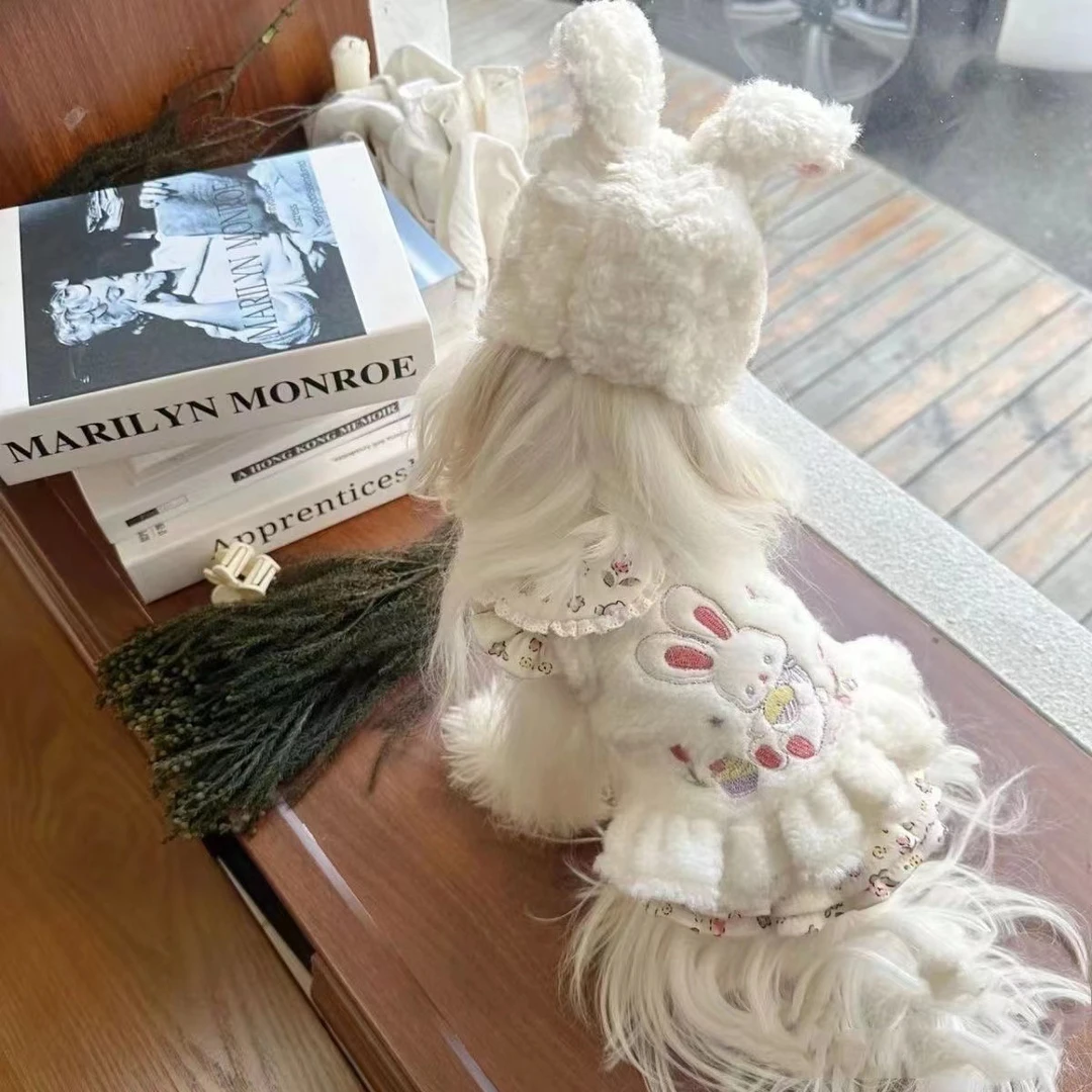 冬季宠物棉衣冬天泰迪比熊博美雪纳瑞小型幼犬猫咪狗狗衣服秋冬装