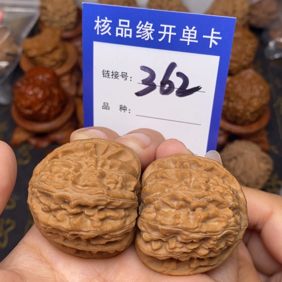 文玩核桃把件白狮子全品38。 362