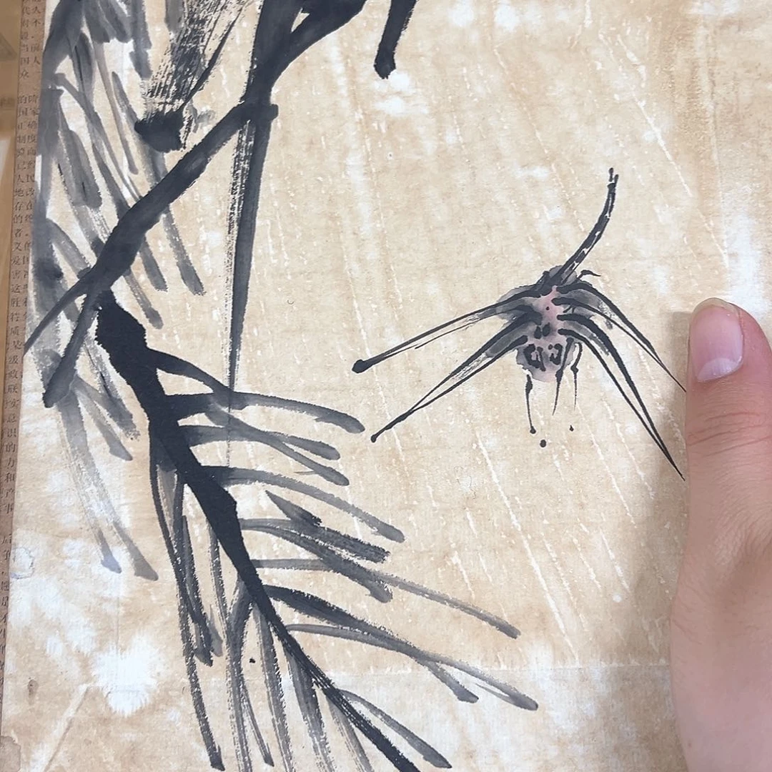 君*的看到你吧绝对吧