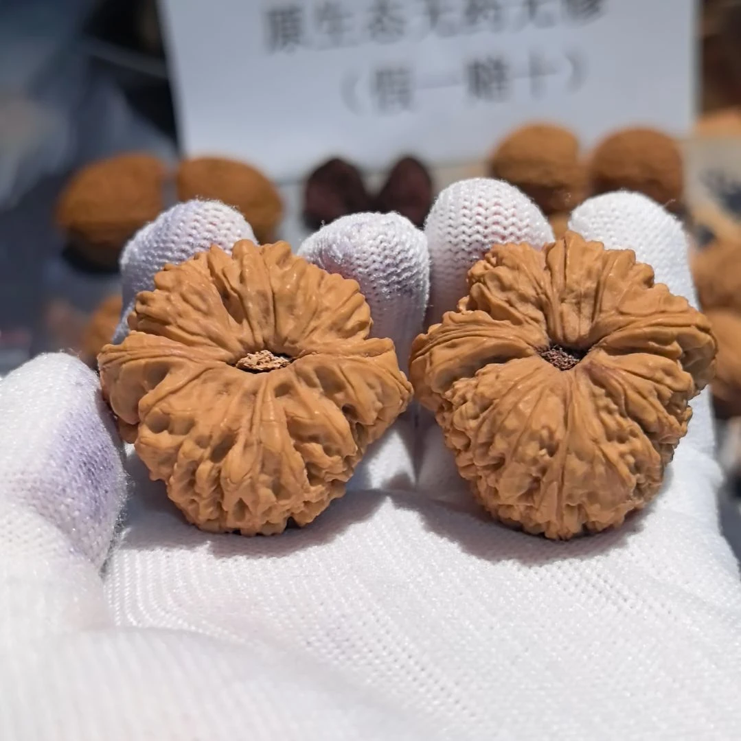 …***…涛子南将石直播拍