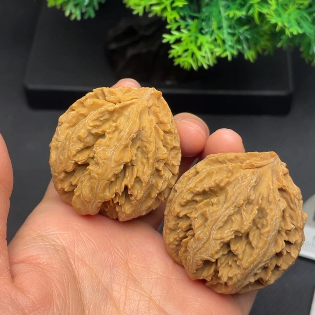 把件文玩核桃秦岭核桃26号