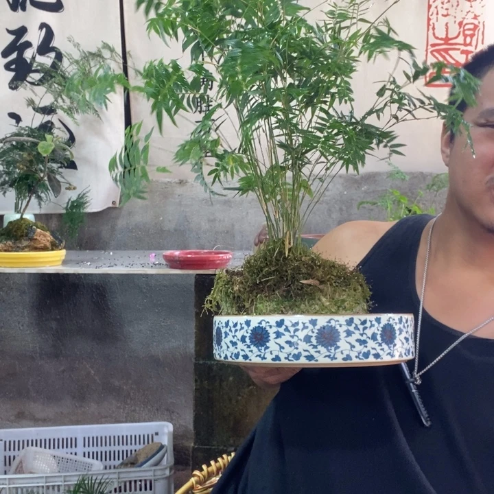 葡***萄以实际为准退款拉黑拉黑104