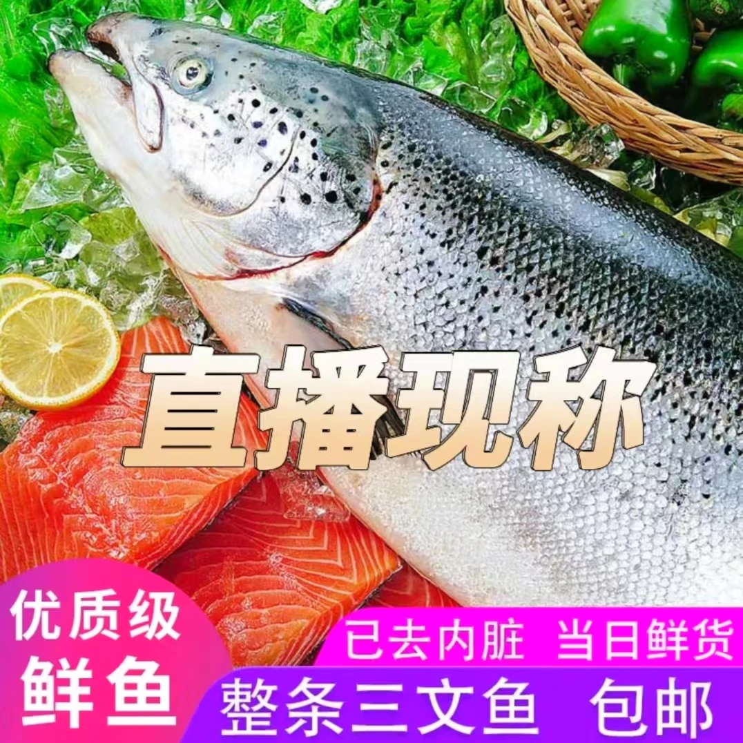 国产海水三文鱼整条新鲜可做刺身