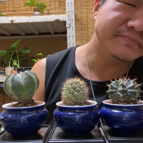 红陶一物一拍所见即所得269