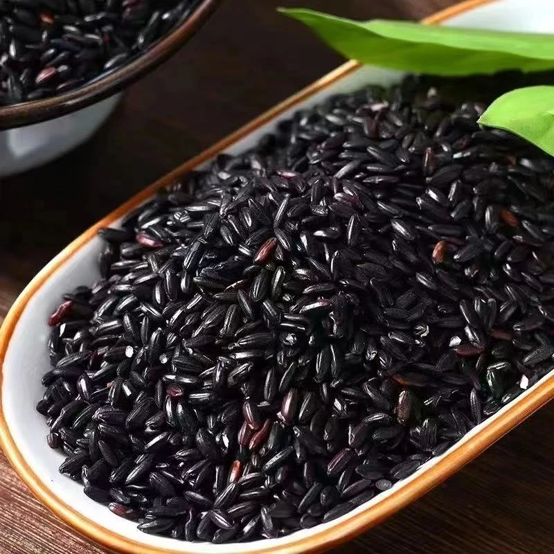 灵灵带你收山货 【黑米】