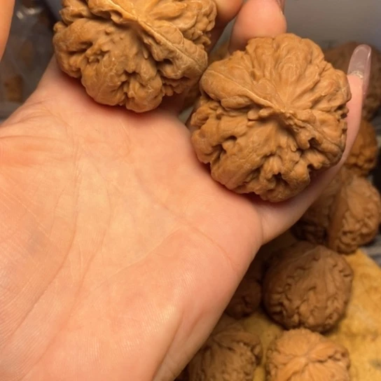 文玩核桃吊坠萧*子霸王龙