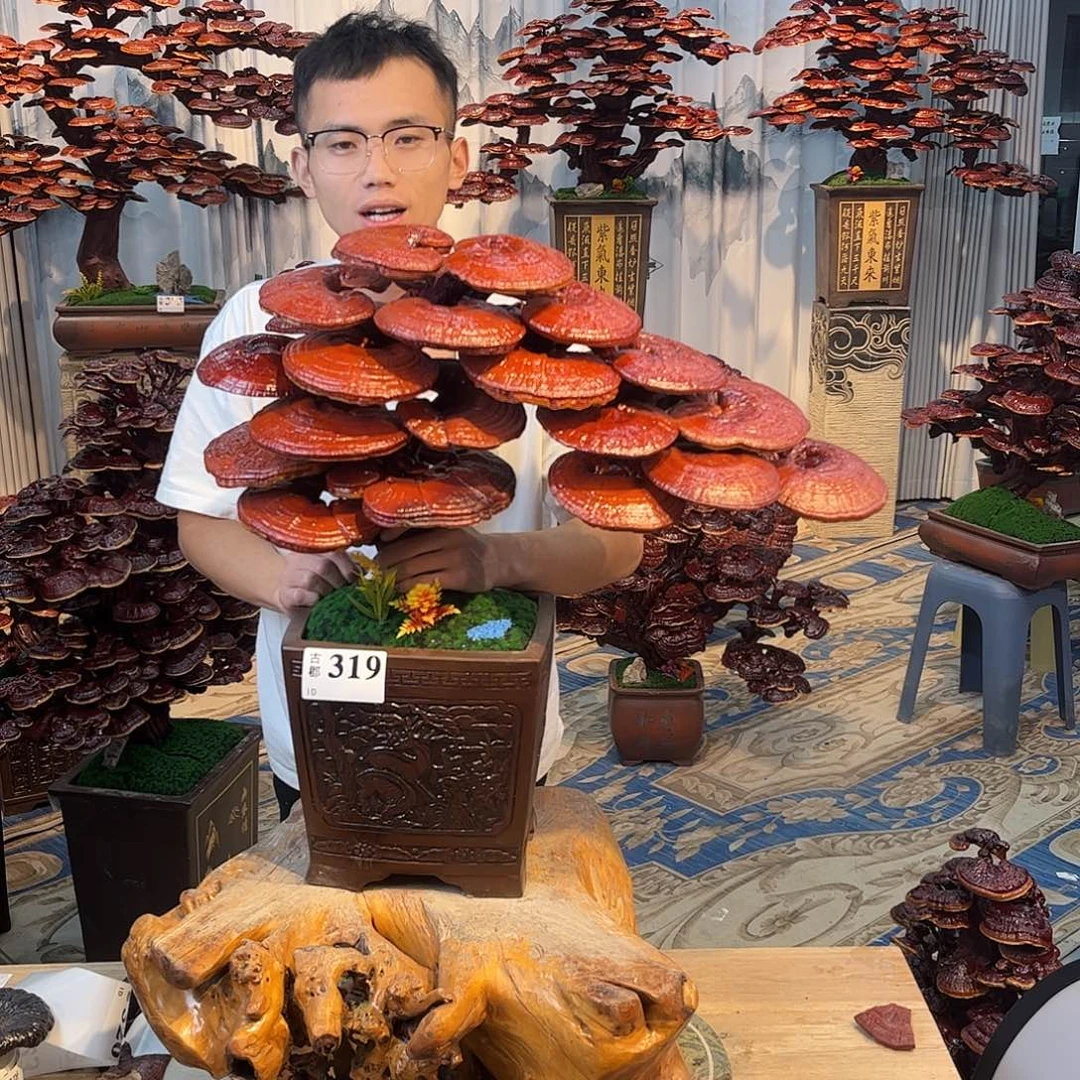 无花朵888888888888