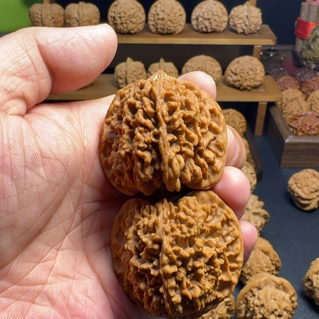 漫天星核桃全品 尺寸43