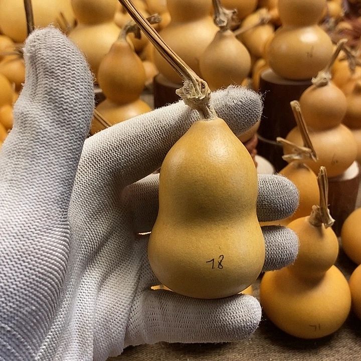 文玩葫芦 完美主义者 慎拍78