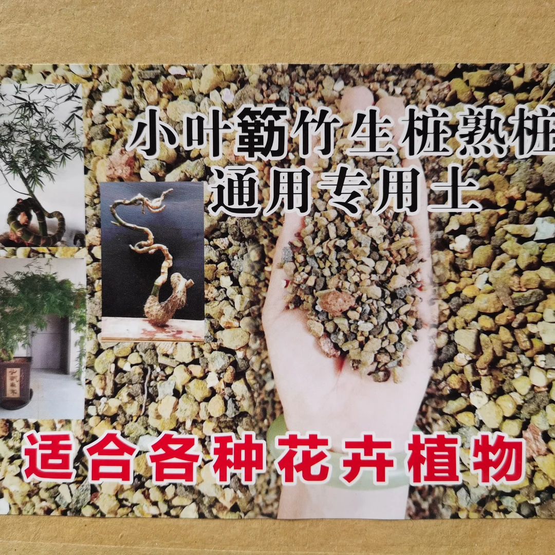 小叶勒竹生桩熟桩专用颗粒土刺激发根生根
