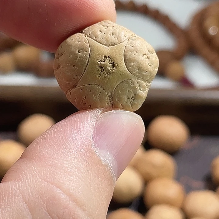 凤眼菩提手串尼泊尔小fy