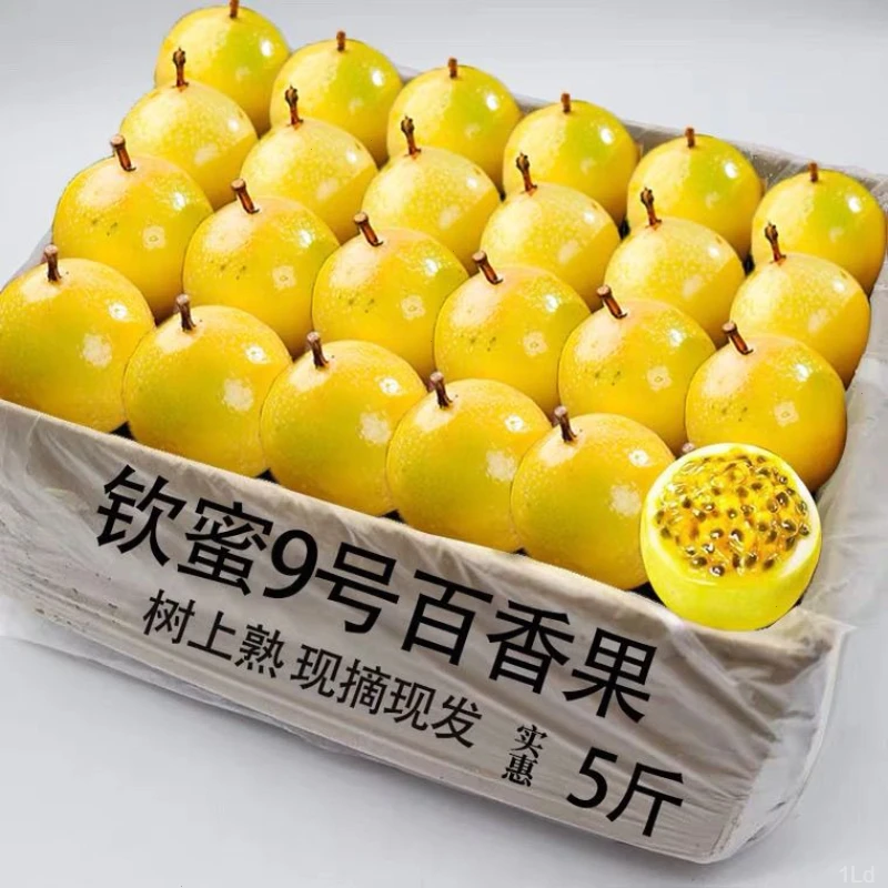 新鲜爆甜广西黄金百香果5斤大果钦蜜9号应当季水果鸡蛋果包邮老树