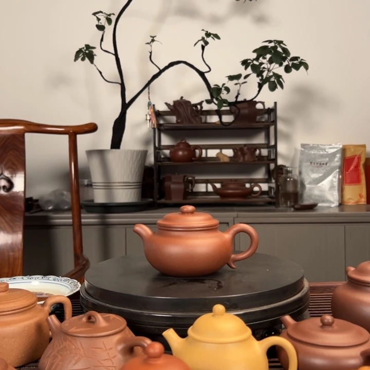 紫砂茶壶舍*原矿四号井底槽青220毫升