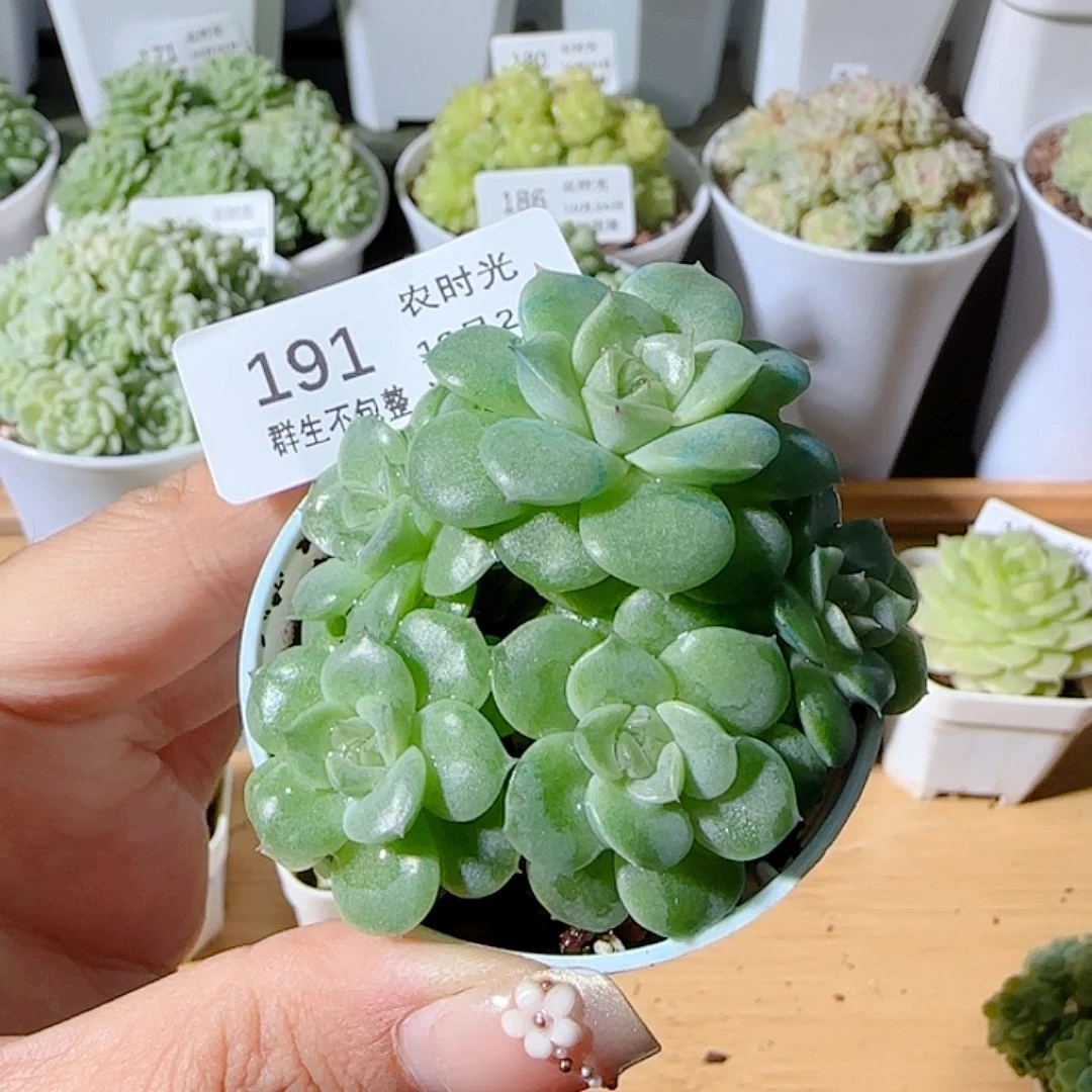 ****闪购商品1024-191ppt-78