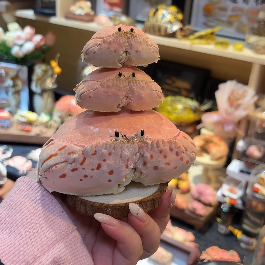 真实卷折馒头三折叠