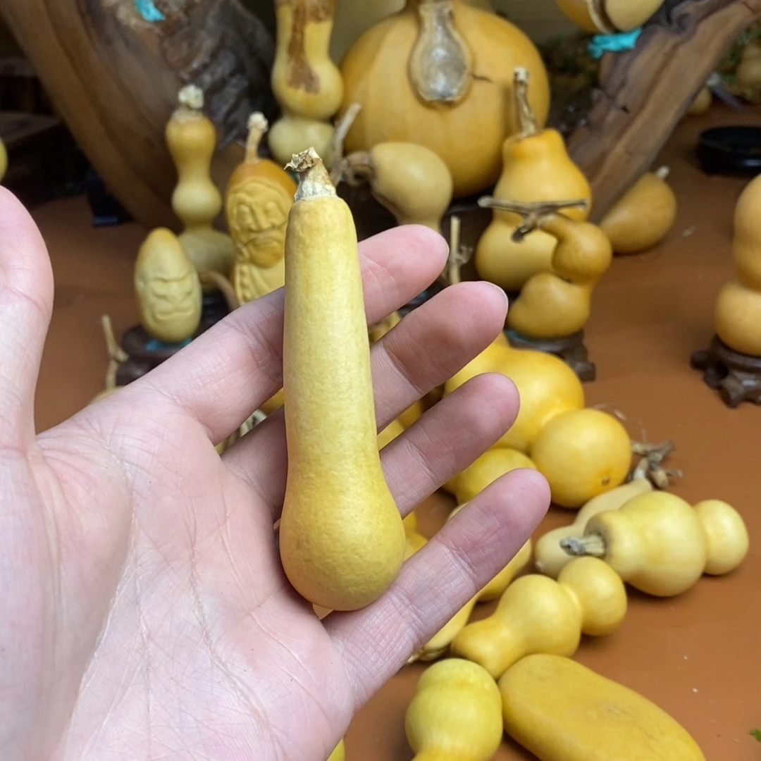 古***宁教练教练教练教练咯