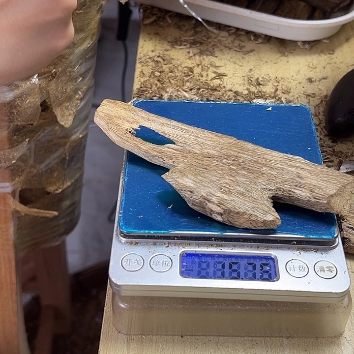 香料绿奇楠张勺子虫漏15克