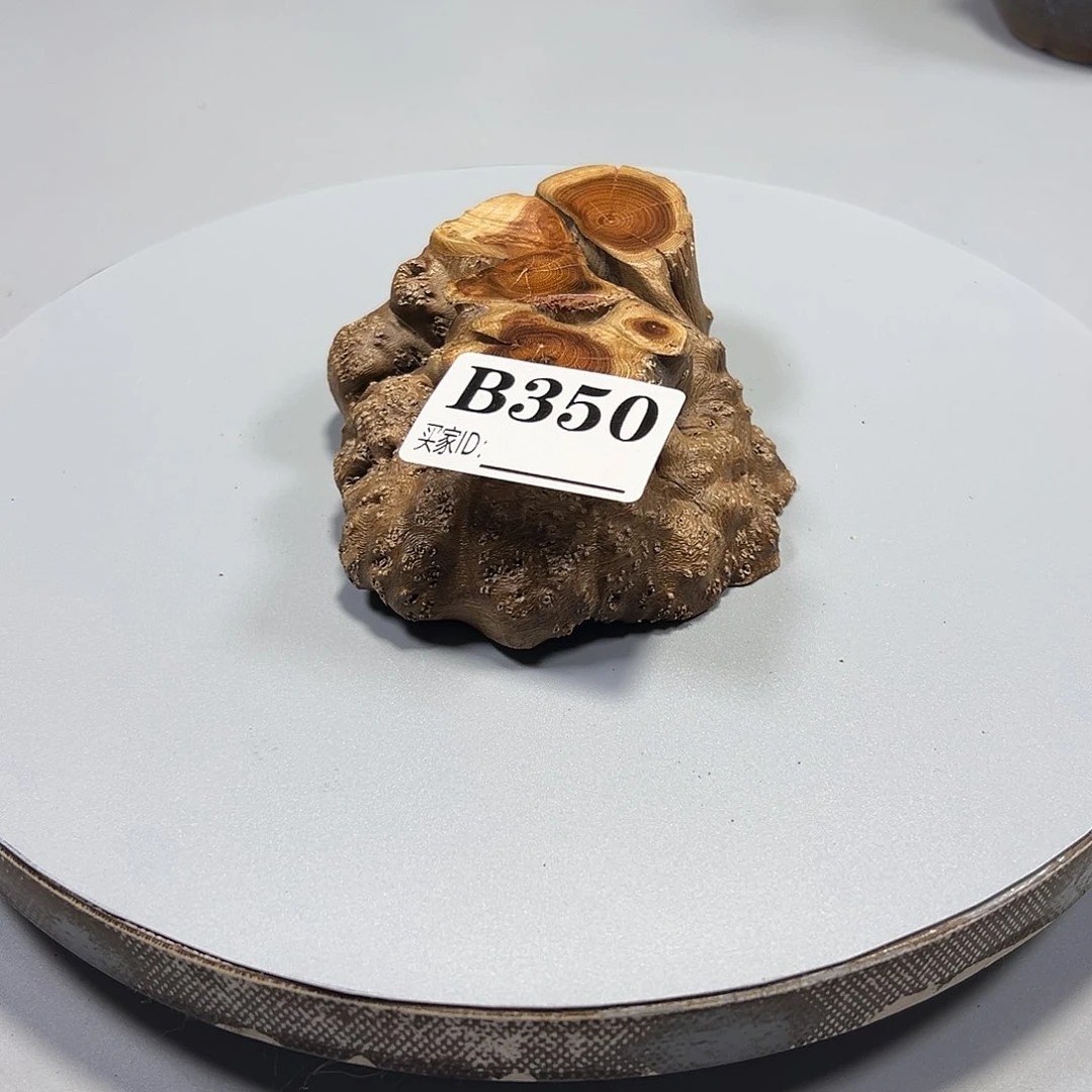 大果紫檀（缅甸花梨）咪*