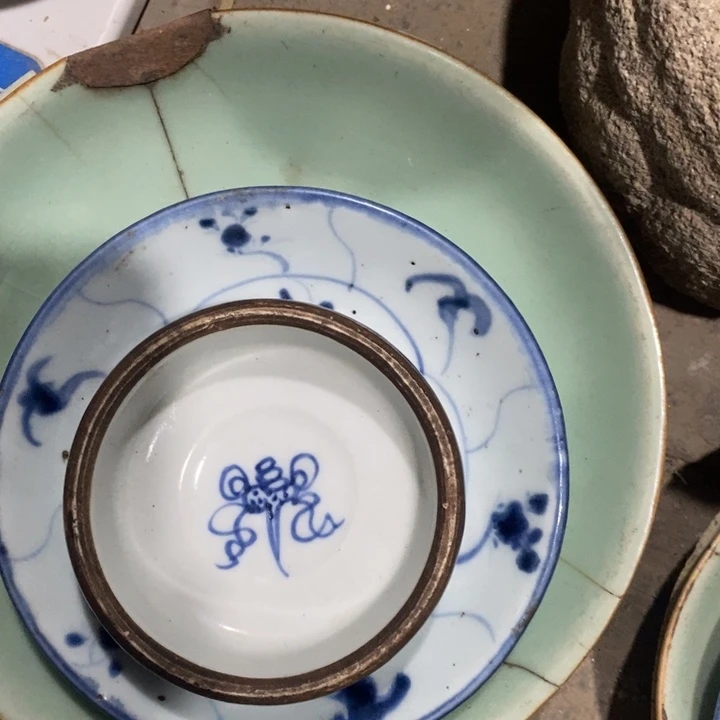 塑料大*zzzzzzzzzzzz