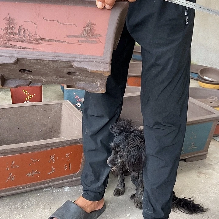 紫砂花盆32高花盆花盆花盆花盆花盆