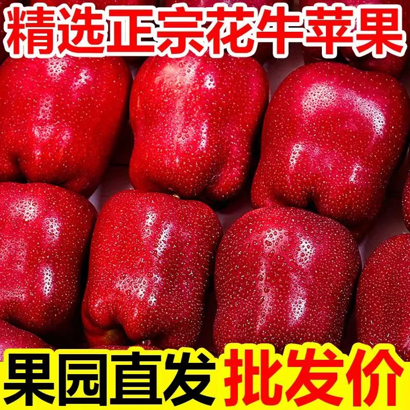 甘肃天水花牛苹果脆粉两吃新鲜水果整箱包邮