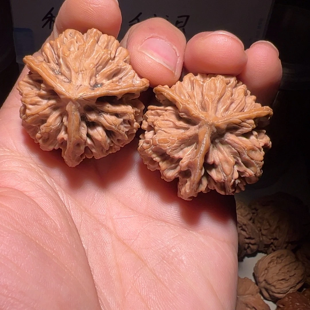 把件桃核40尺全品龙纹帝王