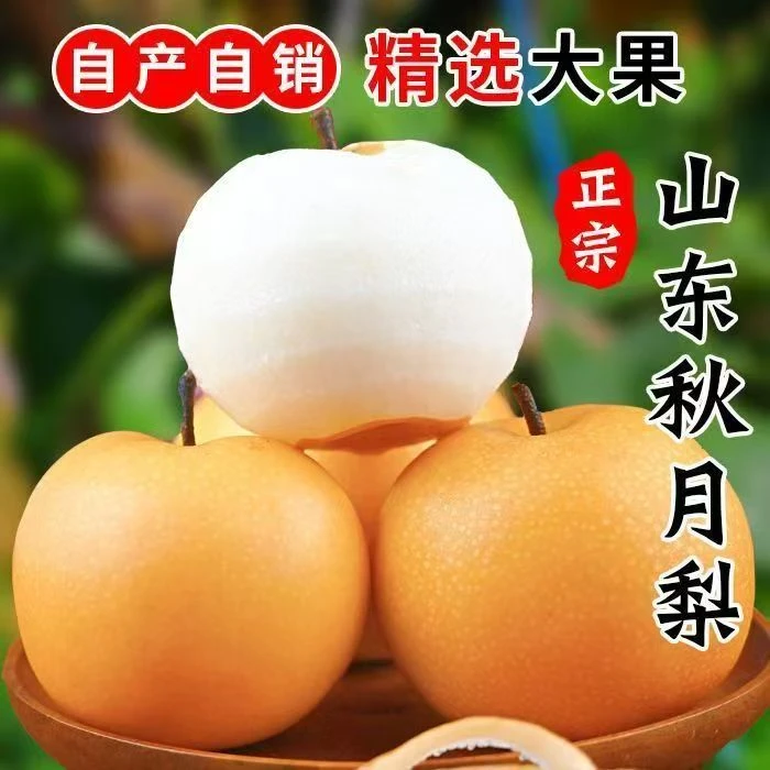正宗秋月梨新鲜采摘当季水果脆甜多汁皮薄肉厚