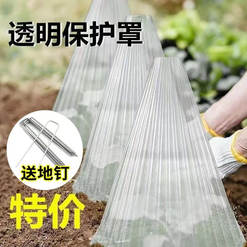加厚透明育苗保护罩塑料防鸟防晒防虫温室蔬菜种植保温钟罩防冻