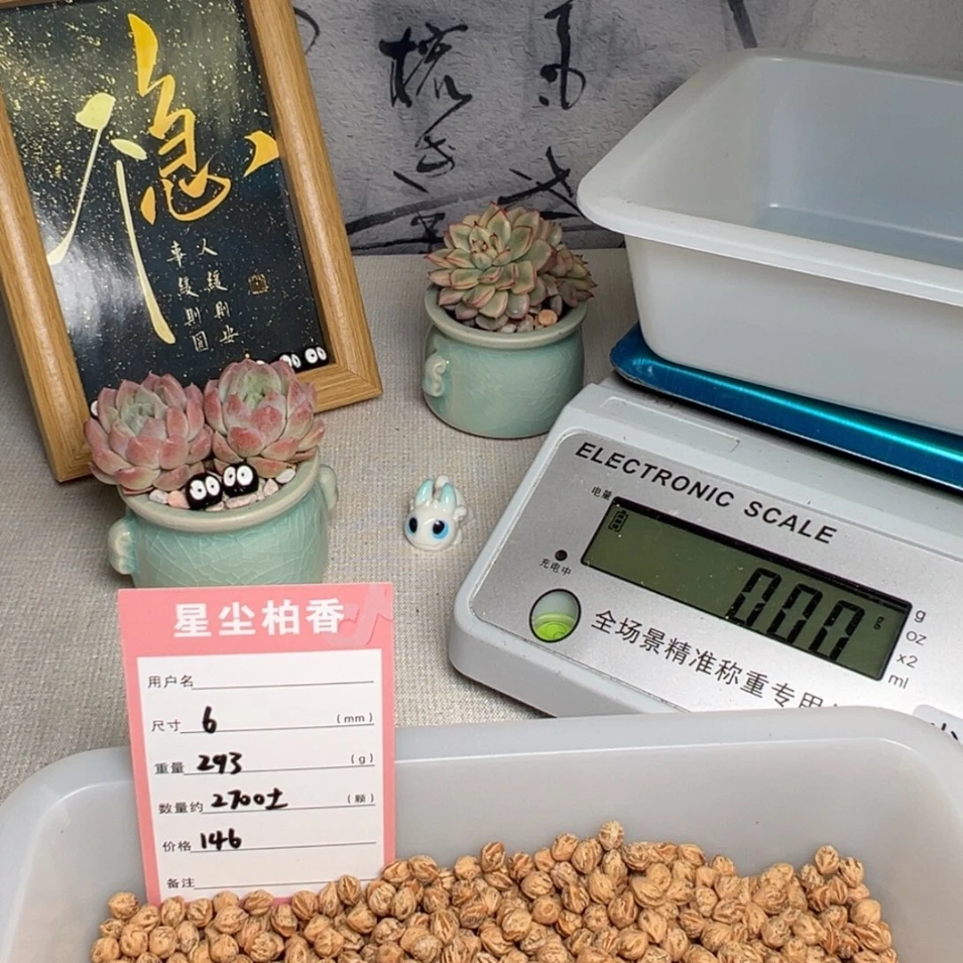 用***3吊坠柏香籽/百香籽