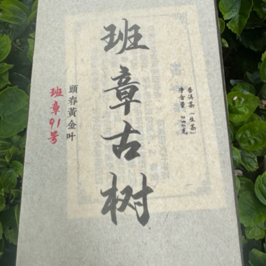古树黄金叶4件套普洱生茶砖班章景迈老曼峨曼松
