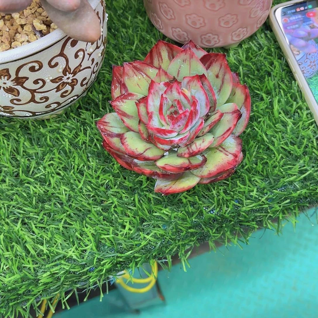 b****~我们要好好学习