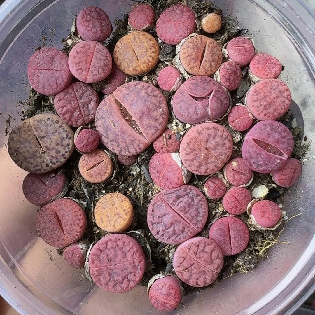 1639 哈哈哈哈哈哈哈哈哈哈哈