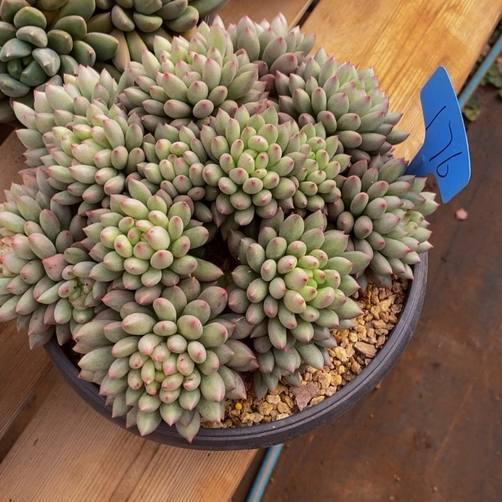 ****肉这个点睡起来都会梦