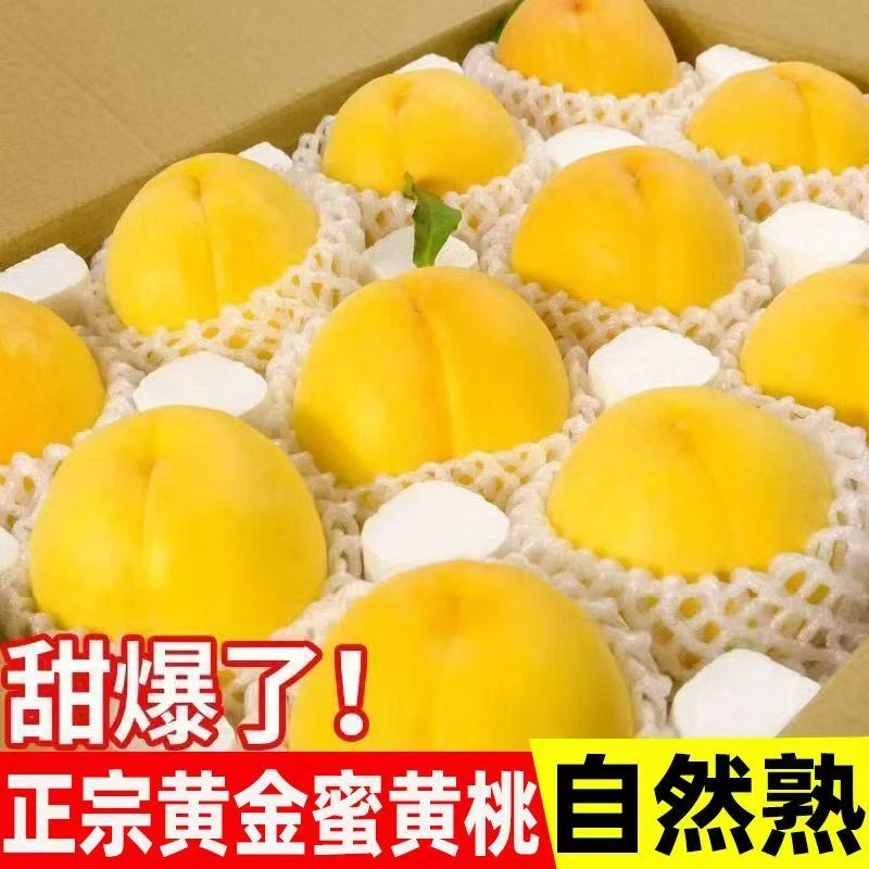 【精品中大果】现货正宗黄金蜜桃爆甜毛桃黄肉桃子大果时令应季脆甜桃子水果整箱陕西省