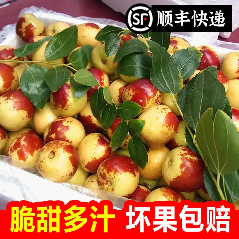 【顺丰】冰糖冬枣脆甜新鲜水果应季当季青红枣子礼盒批发