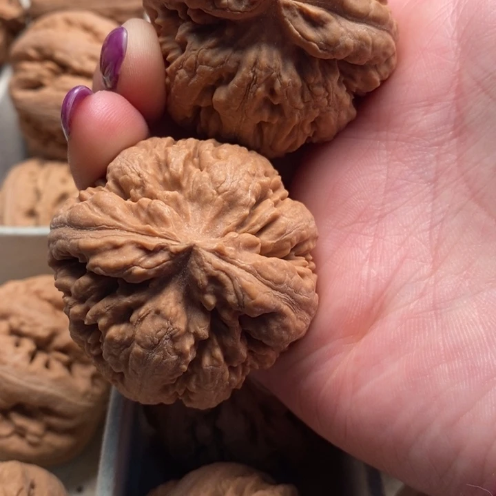 杜***超文玩核桃手串霸王龙