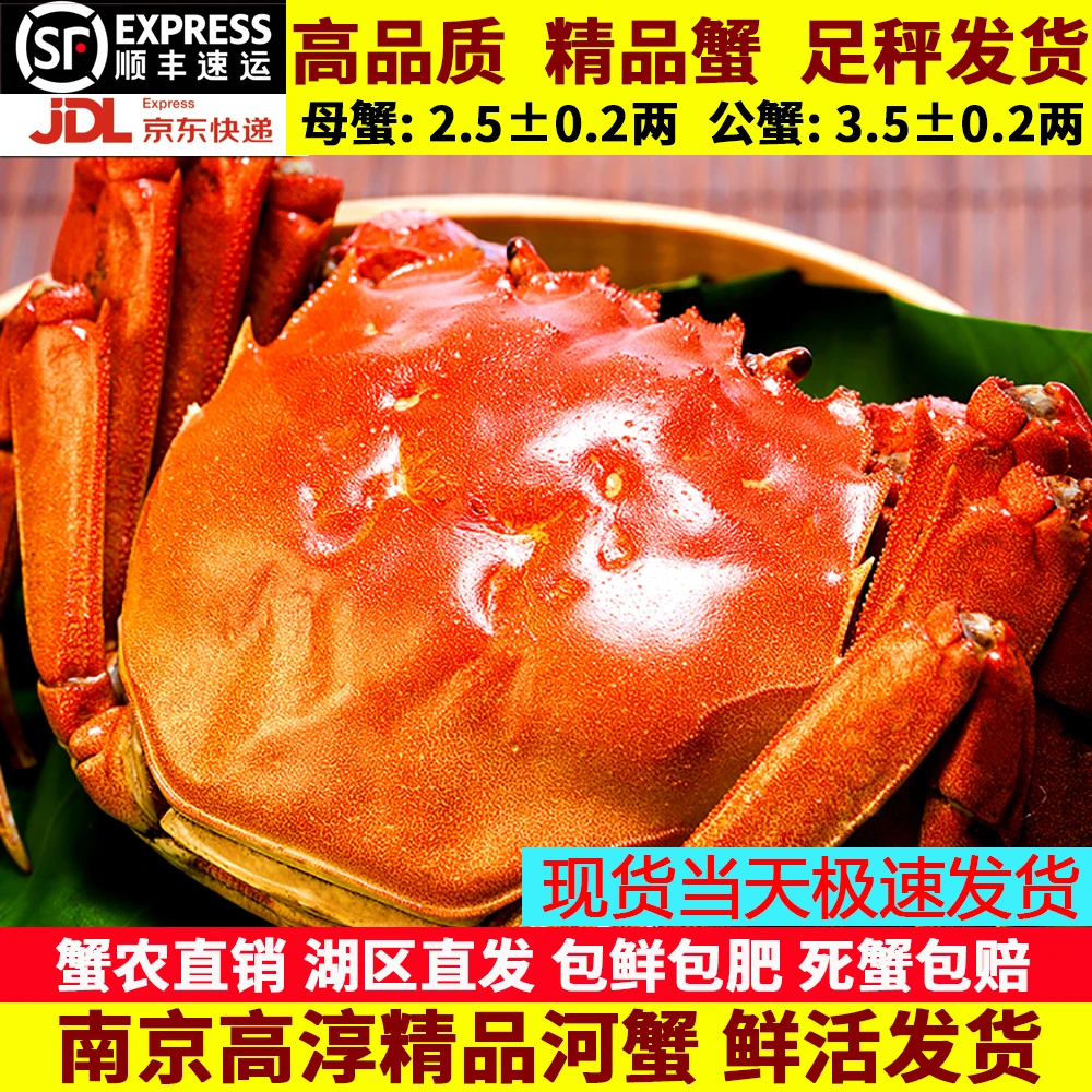 【活蟹】-高淳-河蟹-公蟹（3两-0只）-母蟹（2两5-10只）-顺丰冷链包邮