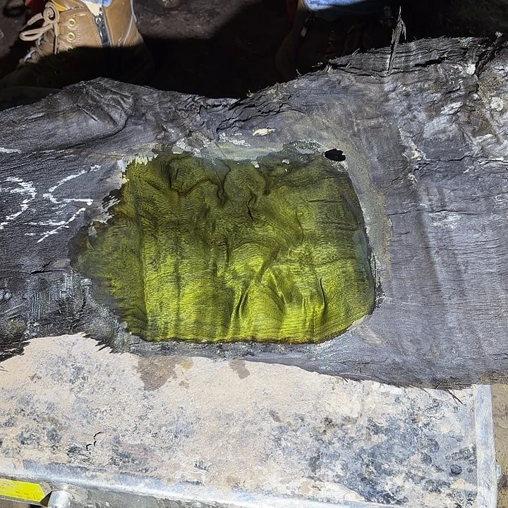 源***行金丝楠金丝楠阴沉木