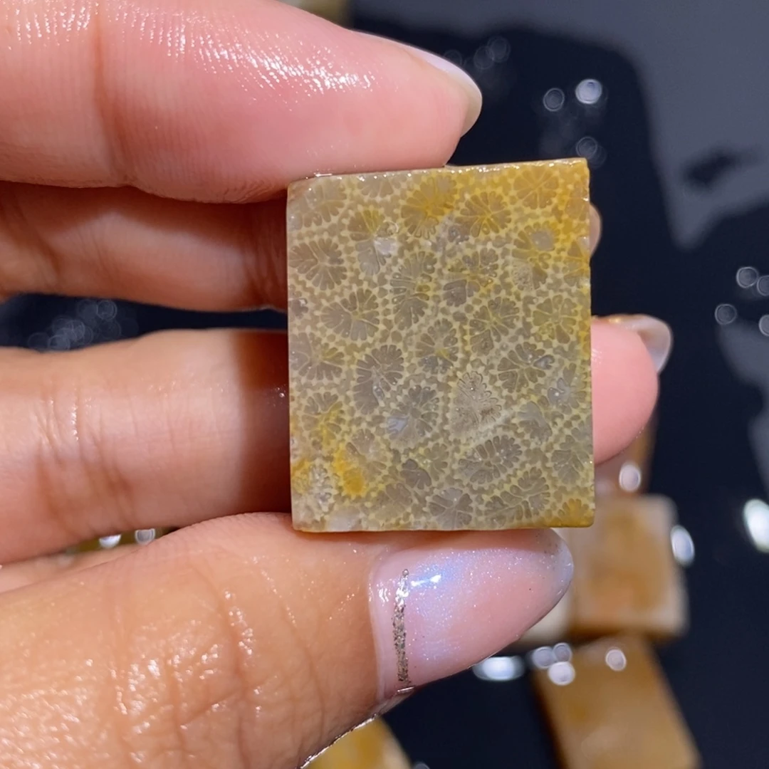 【闪购商品】未镶嵌珊瑚玉硅化玉