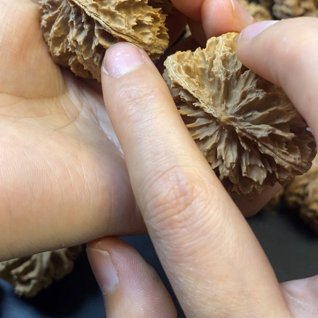 桃核吊坠落**羁秦岭菊花46福利