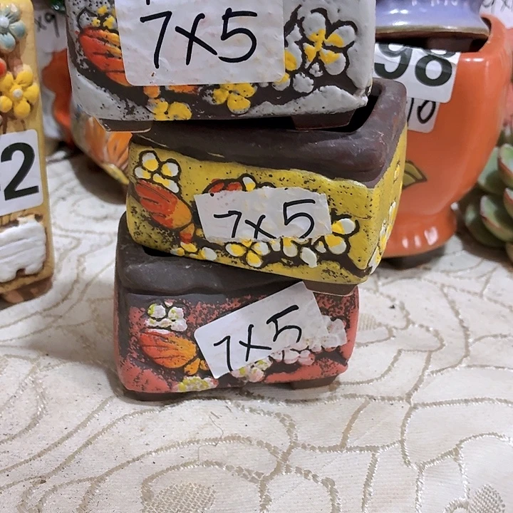 多肉花盆满15包邮