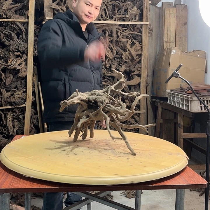 木鱼缸造景根雕艺术135