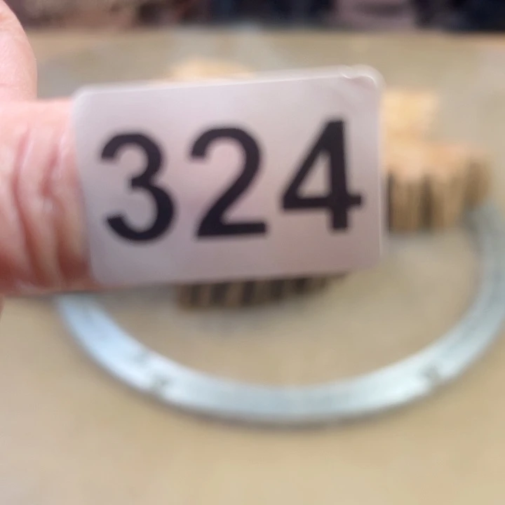 风车木（黑檀木）前*我在这里等你们